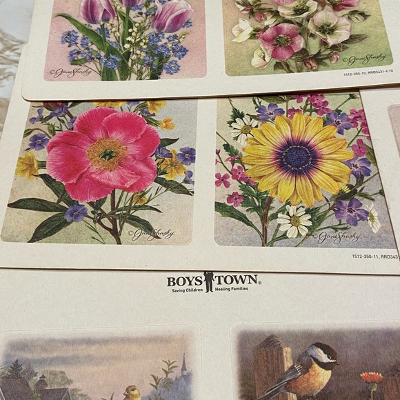 Boys Town Wild Wings Chipboard Drink Coasters 2014 Song Birds/Flowers Set Of 12 - Picture 6 of 8